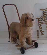 click here toview our toys section